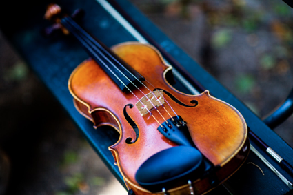 ヴァイオリンの顎当ての種類を大解説 形や素材が違うから交換すると音も変わる Arco音楽教室 東京都練馬区 埼玉県新座市で個人レッスンを提供しています